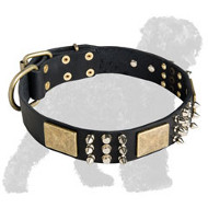 Fashionable High Quality Leather Russian Terrier Collar with Brass Plates