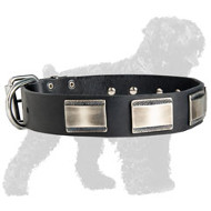Extravagant Leather Russian Terrier with Massive Nickel Plates