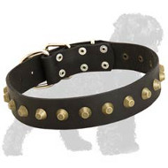 Gorgeous Wide Leather Dog Collar With Brass Pyramids