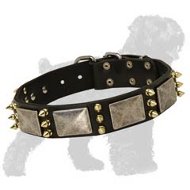 Extravagant Wide Leather Russian Terrier Collar of a Unique Design for Training