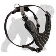 Fascinating Spiked Leather Dog Harness for Russian Terrier