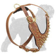 Brass Spiked Daily Walking Stylish Dog Harness for Black Russian Terriers