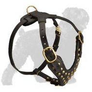 Stylish Studded Russian Terrier Harness for Effective Trainings