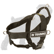Durable Nylon Russian Terrier Harness for Pulling, Tracking and Training