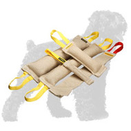 Reliable Jute Russian Terrier Set of Bite Tugs