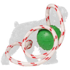 Solid Rubber Russian Terrier Ball on Rope