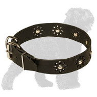 Decorated with Flowers Leather Black Russian Terrier Collar