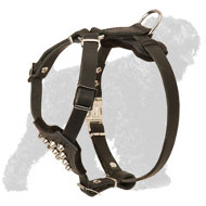 Studded Leather Black Russian Terrier Puppy Harness