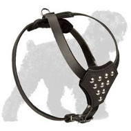 Unique Studded Padded Leather Black Russian Terrier Harness