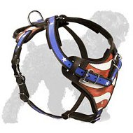 Handpainted great leather harness for Black Russian Terrier