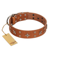 "Dreamy Gleam" FDT Artisan Tan Leather Black Russian Terrier Collar Adorned with Stars and Squares
