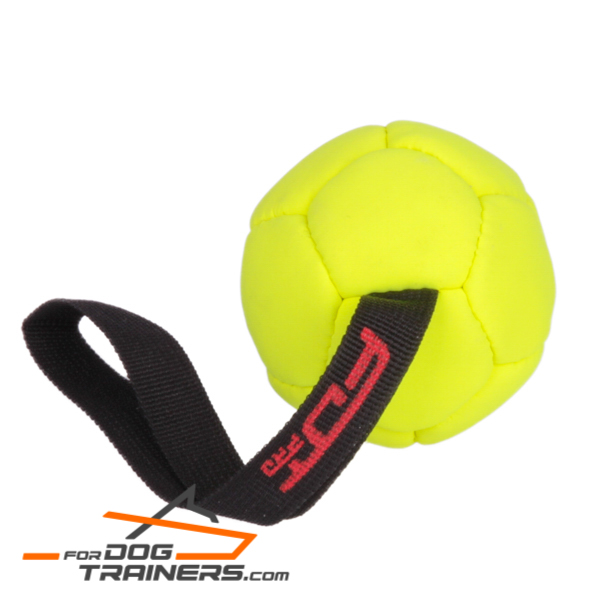 Amazing Dog Ball for training 