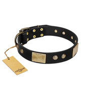 "Antique Gloss" FDT Artisan Black Leather Black Russian Terrier Collar with Bronze-like Plates and Small Studs