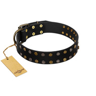 "Star Way" FDT Artisan Black Leather Black Russian Terrier Collar with Bronze-like and Silver-like Star Studs