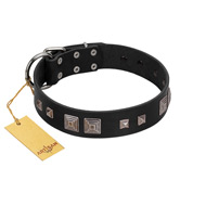 "Foregone Riches" FDT Artisan Black Leather Black Russian Terrier Collar with Old Silver-like Square Studs and Pyramids