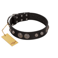 "Tricky Ricky" FDT Artisan Black Leather Black Russian Terrier Collar Adorned with Silver-Like Conchos