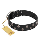 "Power-Flower" FDT Artisan Black Leather Black Russian Terrier Collar with Two Rows of Silver-like Studs with Engraved Flowers