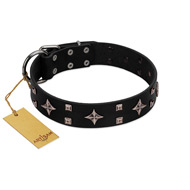"Snappy Dresser" FDT Artisan Black Leather Black Russian Terrier Collar Adorned with Stars and Tiny Squares