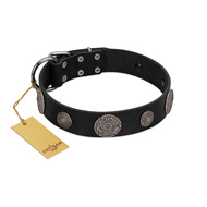 "Ad Infinitum" Durable FDT Artisan Black Leather Black Russian Terrier Collar with Chrome Plated Brooches