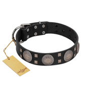 "Sun in Shining" Modern FDT Artisan Black Leather Black Russian Terrier Collar with Studs and Stars