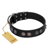 "Silver Medallions" Mod FDT Artisan Black Leather Black Russian Terrier Collar with Round Plates