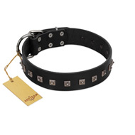 "Natural Beauty" Premium Quality FDT Artisan Black Designer Black Russian Terrier Collar with Dotted Studs