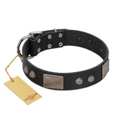 "Square Stars" Modern FDT Artisan Black Leather Black Russian Terrier Collar with Square Plates and Studs