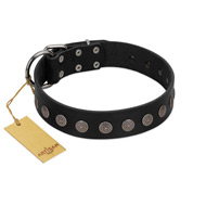 "Silent Star" Handmade FDT Artisan Designer Black Leather Black Russian Terrier Collar with Engraved Plates