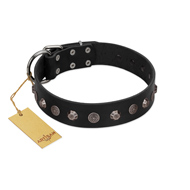 "Black Knight" Handmade FDT Artisan Black Leather Black Russian Terrier Collar with Silver-Like Studs