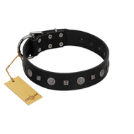 "Mr. Elegance" Designer FDT Artisan Black Leather Black Russian Terrier Collar with Silver-Like Studs