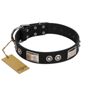 "Grand Wear" FDT Artisan Black Leather Black Russian Terrier Collar with Shining Plates and Spiked Studs