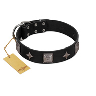 "Black Cavalier" Handmade FDT Artisan Black Leather Black Russian Terrier Collar with Silver-Like Stars and Large Plates