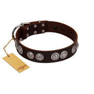 "High and Mighty" FDT Artisan Classy Brown Leather Black Russian Terrier Collar with Embellished Brooches