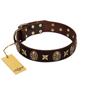 "Captain Hook" FDT Artisan Brown Leather Black Russian Terrier Collar with Stars and Skulls