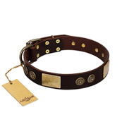 "Bow-Wow Effect" FDT Artisan Brown Leather Black Russian Terrier Collar with Plates and Ornate Studs
