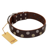 "Shadow Warrior" FDT Artisan Mystic Brown Leather Black Russian Terrier Collar with Runes