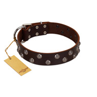 "Blossom Jewel" FDT Artisan Brown Leather Black Russian Terrier Collar with Two Rows of Silver-like Studs with Engraved Flowers