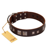 "Object of Virtu" FDT Artisan Brown Leather Black Russian Terrier Collar with Old Silver-like Square Studs and Pyramids