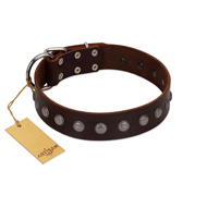 "Spring Flower" Stylish FDT Artisan Brown Leather Black Russian Terrier Collar for Comfy Walks