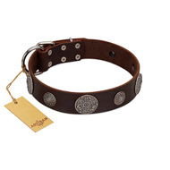 "Flashy Woof" FDT Artisan Brown Leather Black Russian Terrier Collar with Chrome Plated Brooches