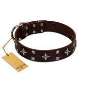 "Trendy Candy" FDT Artisan Brown Leather Black Russian Terrier Collar Adorned with Stars and Tiny Squares