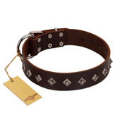 "Boundless Energy" Premium Quality FDT Artisan Brown Designer Leather Black Russian Terrier Collar with Small Pyramids