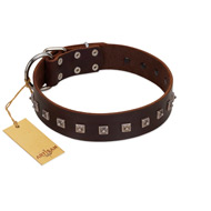 "Kingly Grace" FDT Artisan Brown Leather Black Russian Terrier Collar with Silver-like Dotted Studs
