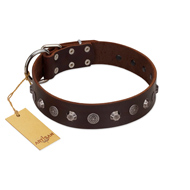 "Dark Chocolate" Handmade FDT Artisan Brown Leather Black Russian Terrier Collar with Studs