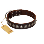 "Gothic Style" FDT Artisan Fancy Brown Leather Black Russian Terrier Collar with Silver-Like Decorations