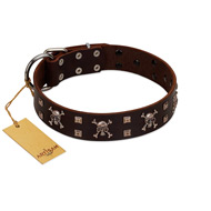 "Menacing Allure" FDT Artisan Brown Leather Black Russian Terrier Collar Embellished with Silvery Crossbones and Square Studs