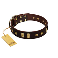 "Choco Delight" FDT Artisan Brown Leather Black Russian Terrier Collar with Old Bronze-like Plates and Studs