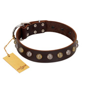 "Gape Buster" FDT Artisan Brown Leather Black Russian Terrier Collar with One Row of Studs