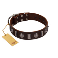 "Spiky Way" FDT Artisan Brown Leather Black Russian Terrier Collar with Silver-Like Decorations