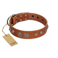 "Era Infinitum" FDT Artisan Tan Leather Black Russian Terrier Collar Adorned with Chrome-plated Circles